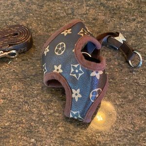 Adorable dog harness and leash